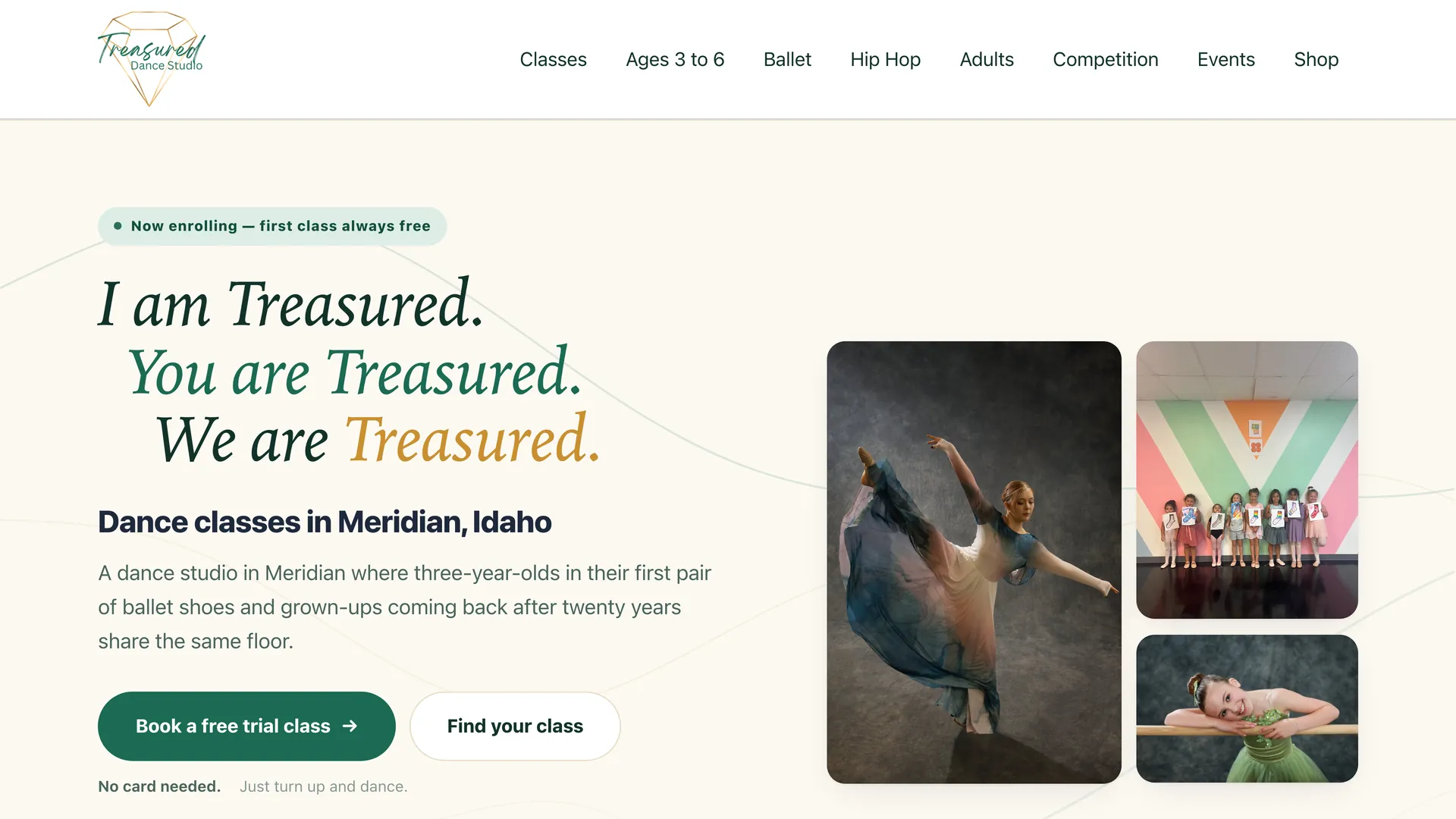 Treasured Dance Studio website homepage designed and built by Preferic